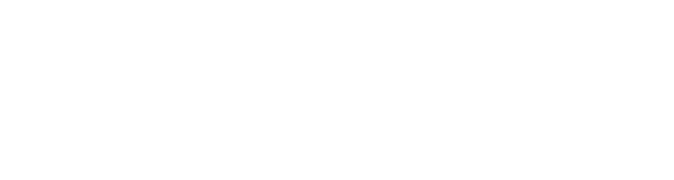 Student VIP International Logo